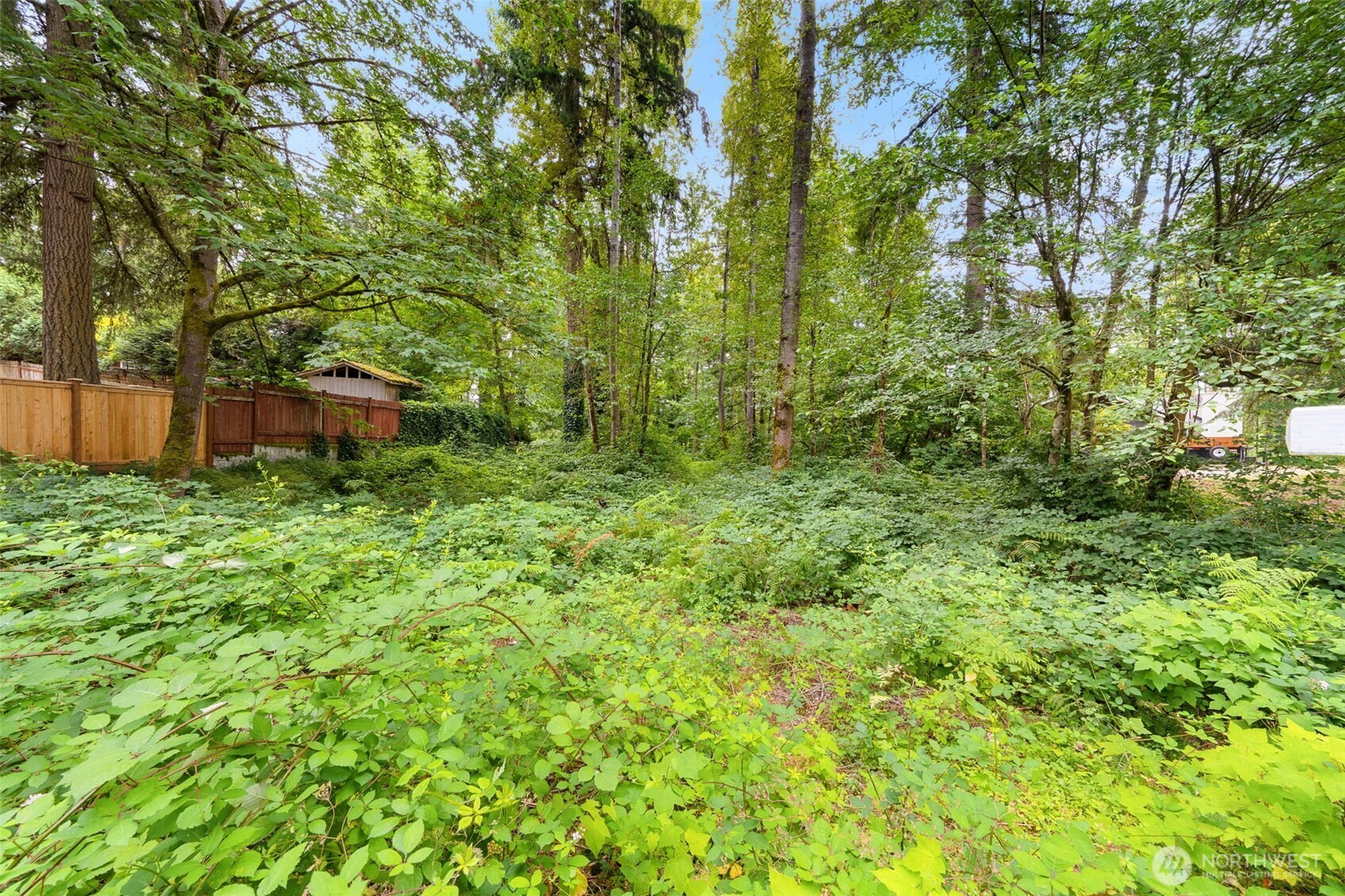 18121 Se 147th Street Property Photo 9