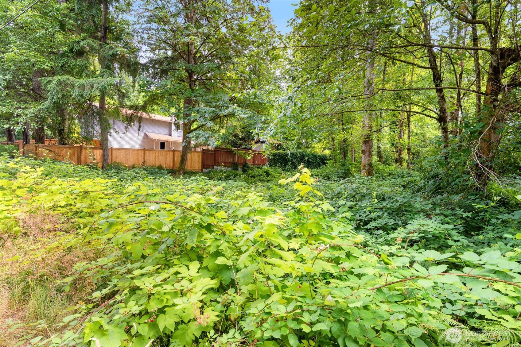 18121 Se 147th Street Property Photo 14