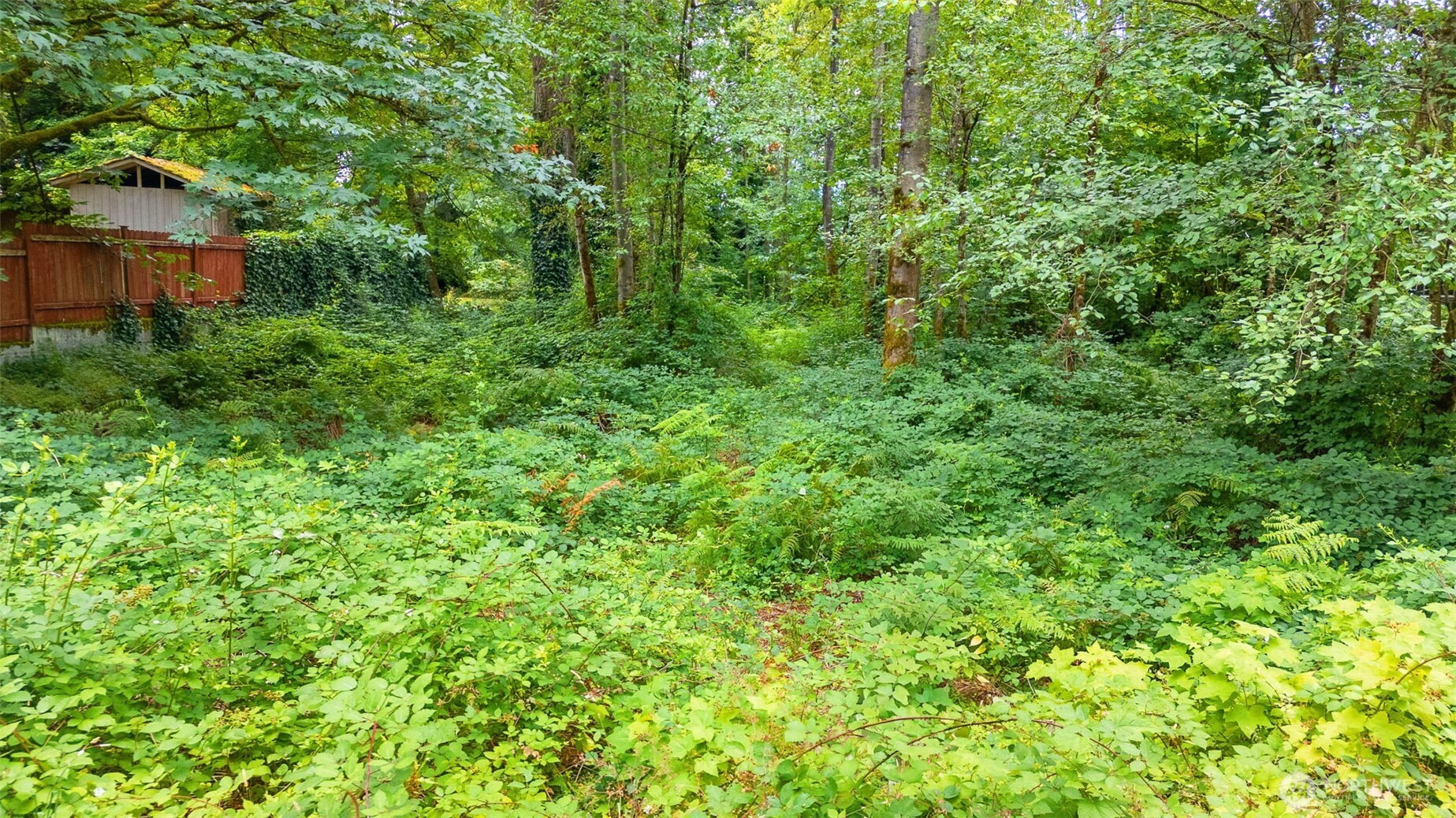 18121 Se 147th Street Property Photo 18