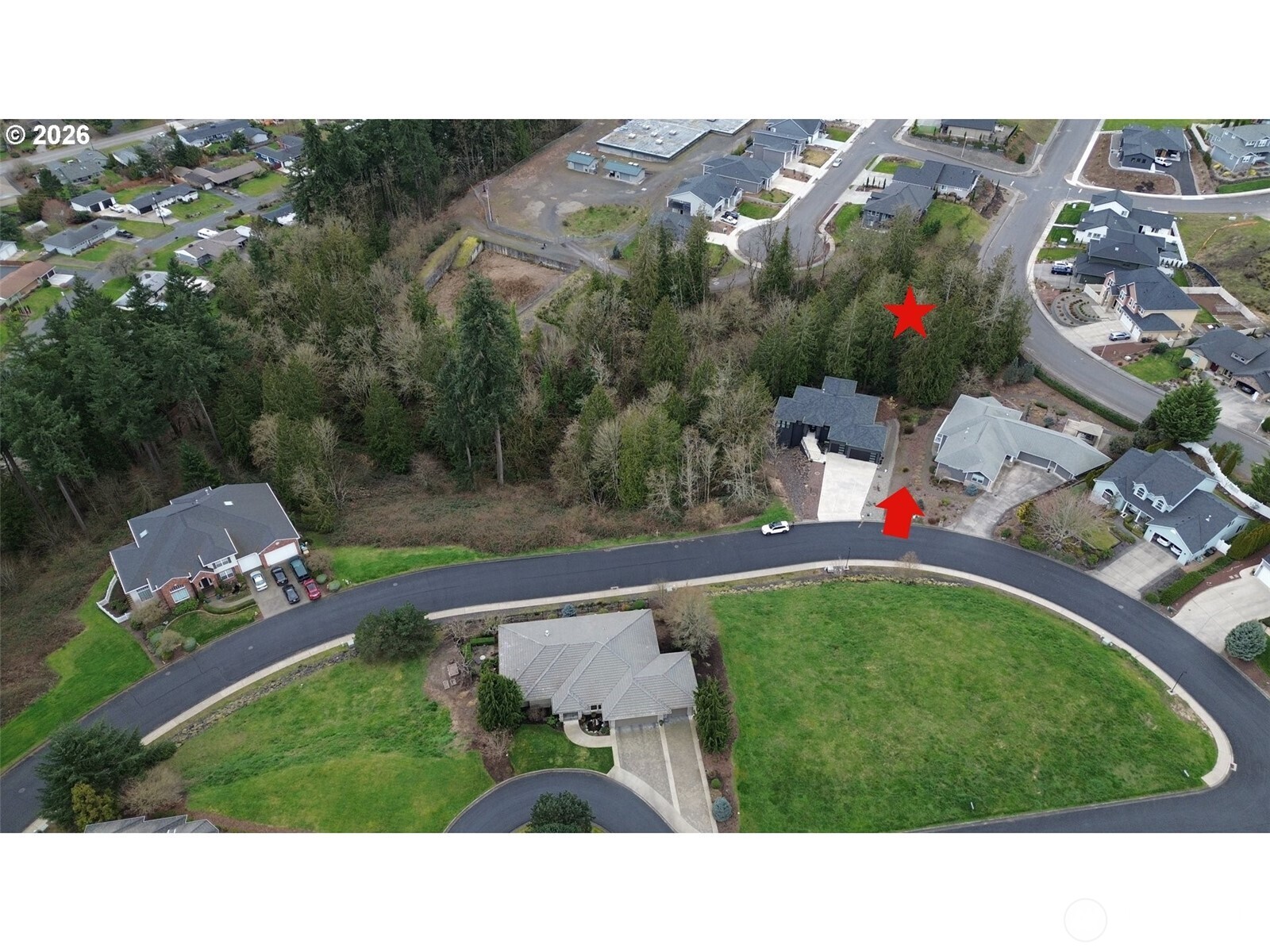 4 Forest Hill Estate Property Photo 3