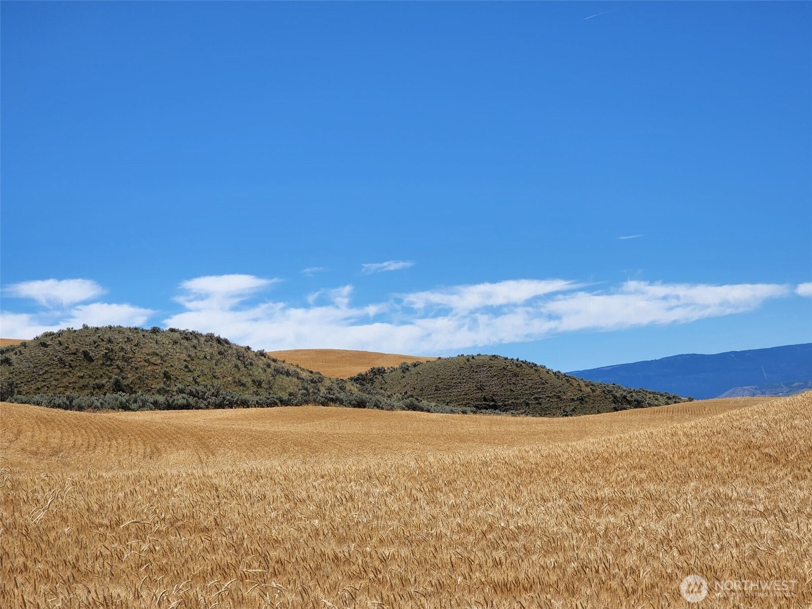 2025 Cougar Ridge Road Property Photo 9