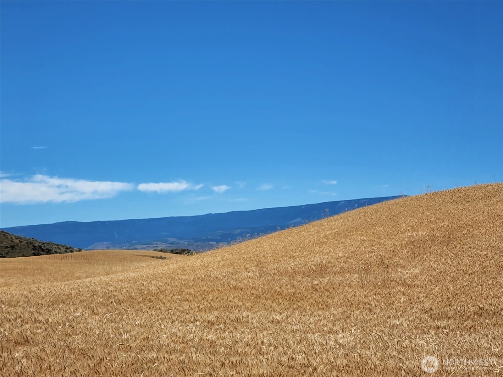 2025 Cougar Ridge Road Property Photo 11