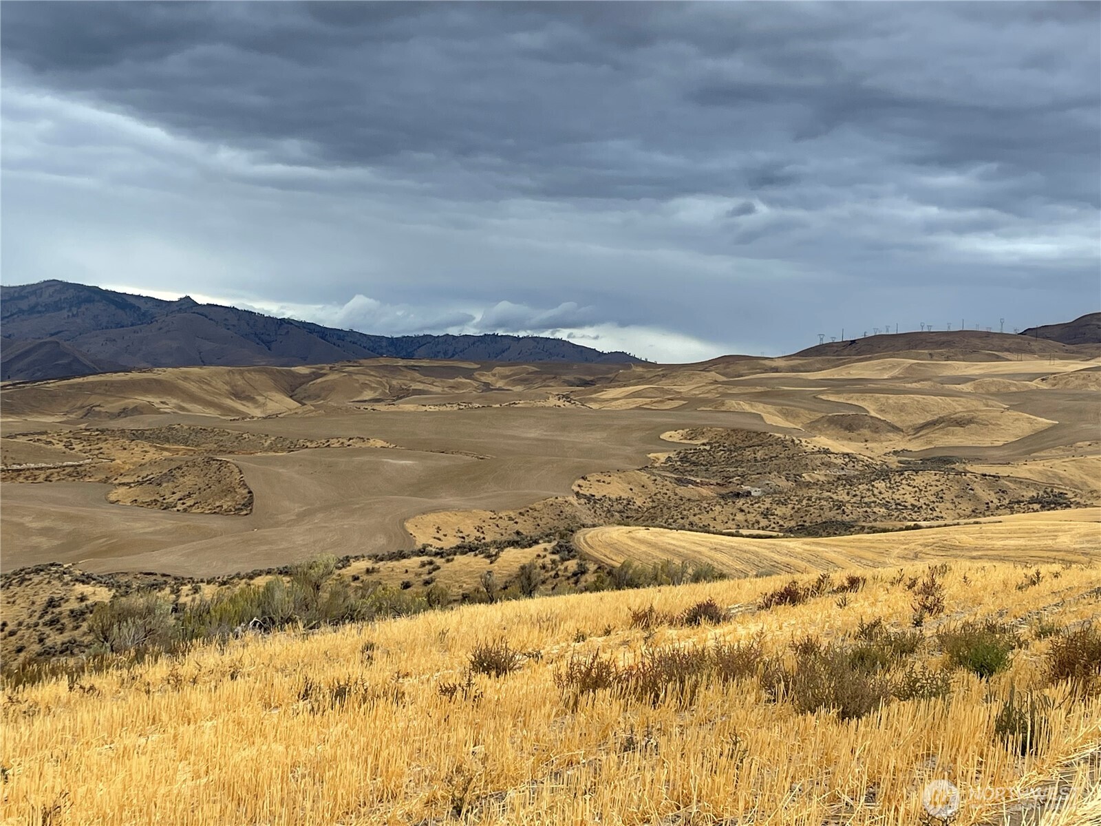 2025 Cougar Ridge Road Property Photo 17