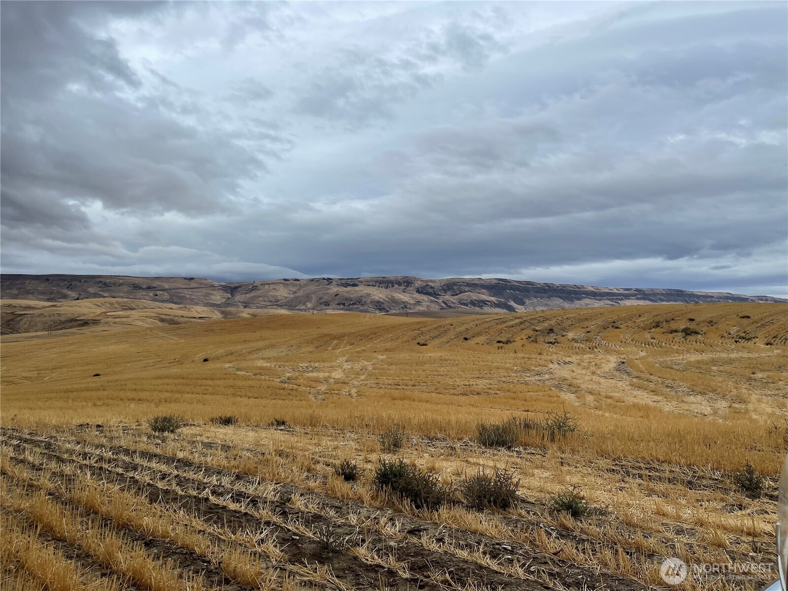 2025 Cougar Ridge Road Property Photo 23