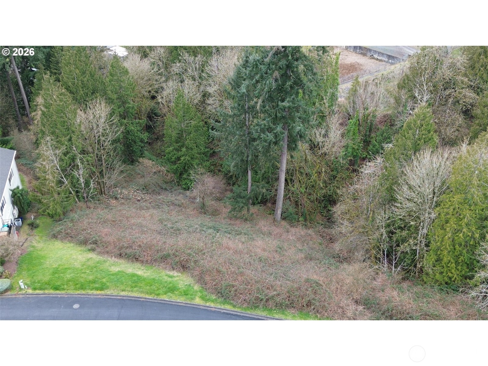 8 Forest Hill Estate Property Photo 8