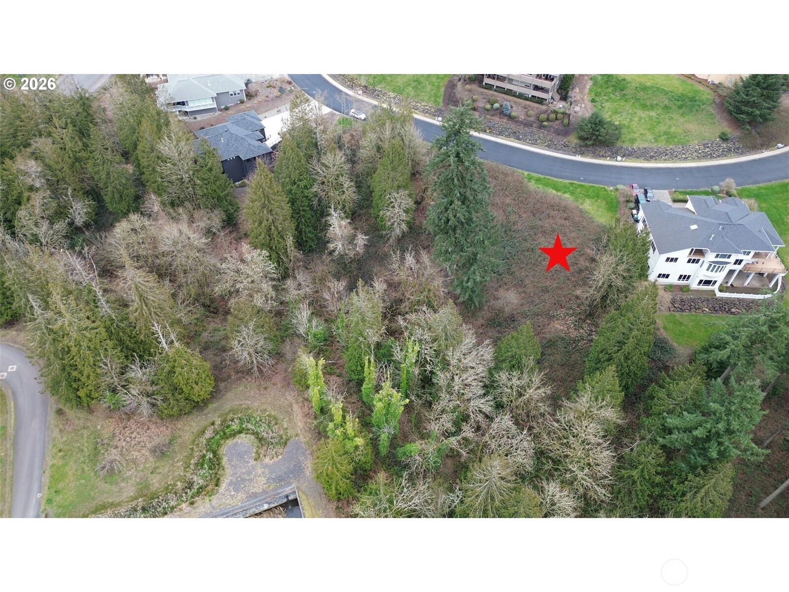 8 Forest Hill Estate Property Photo 10