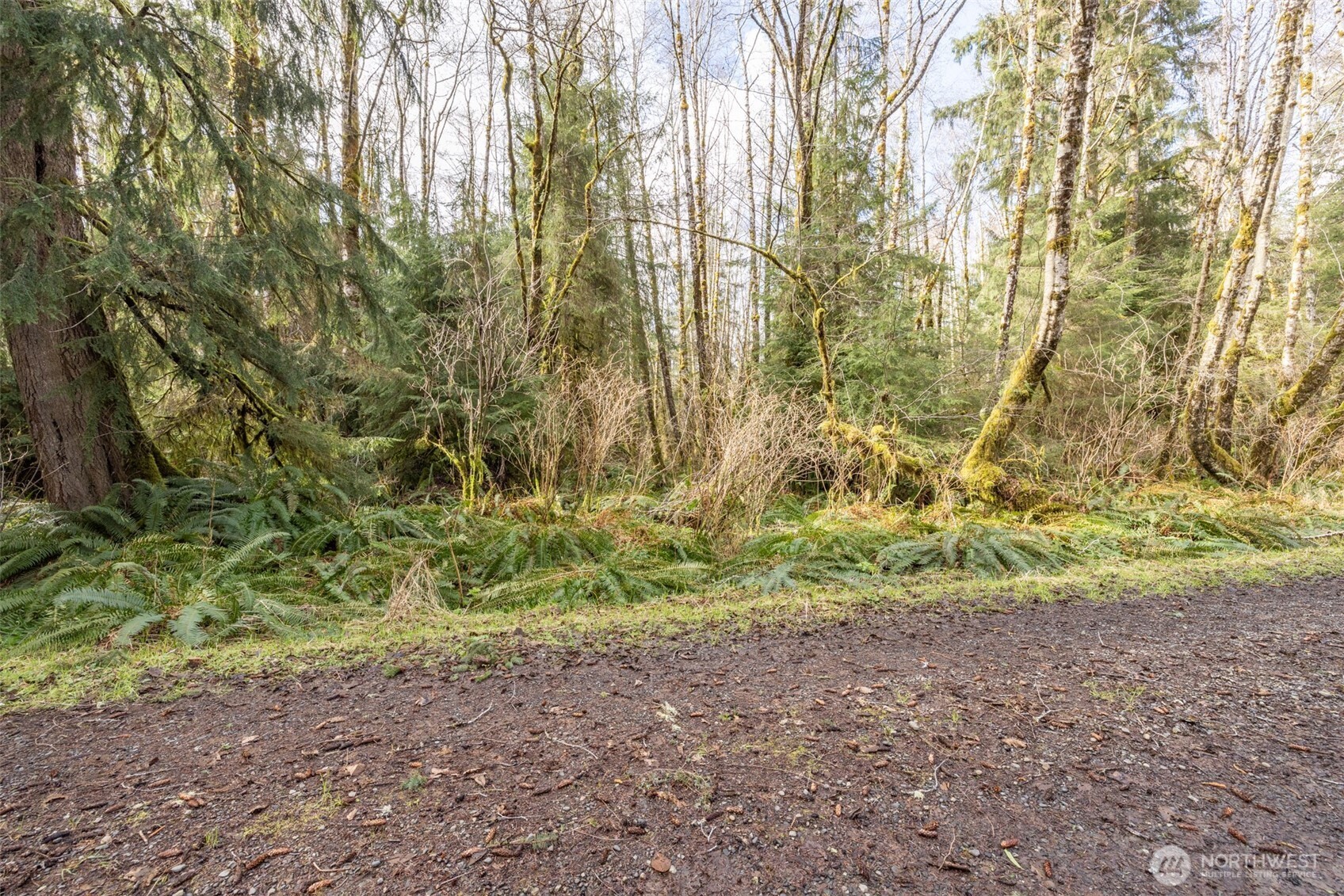 1 Swamp Road Property Photo 6
