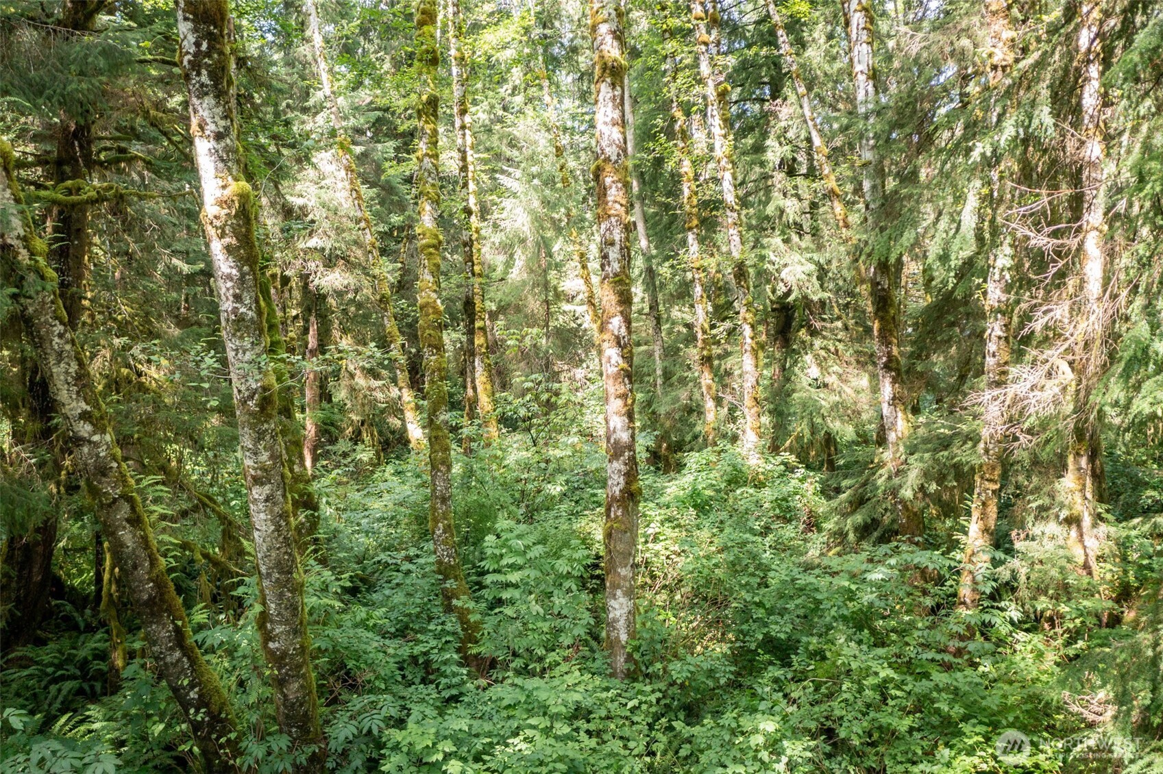 1 Swamp Road Property Photo 8