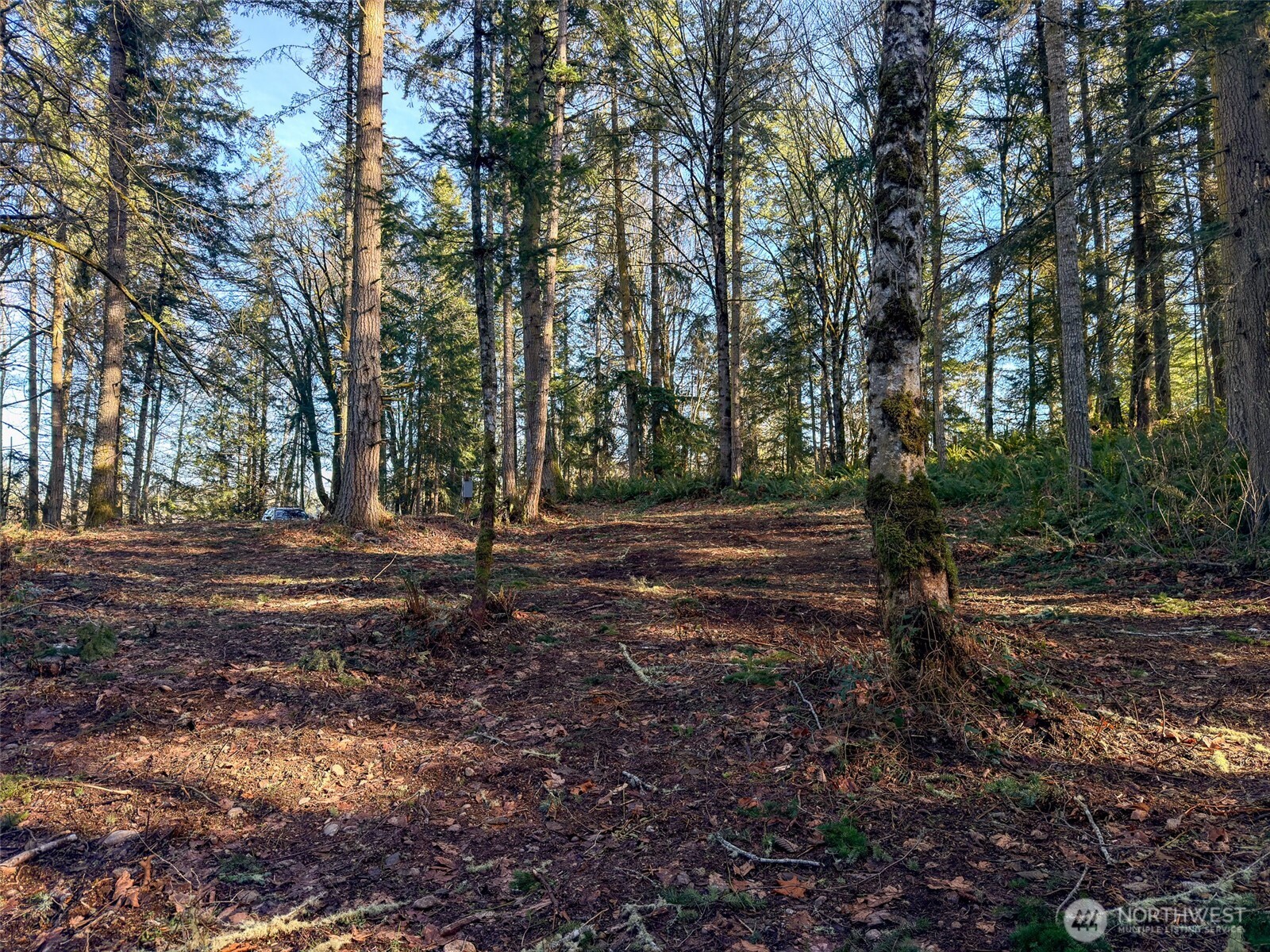 5662 Center Road Property Photo 14