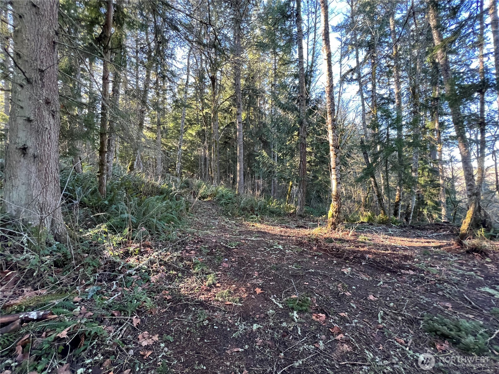 5662 Center Road Property Photo 23