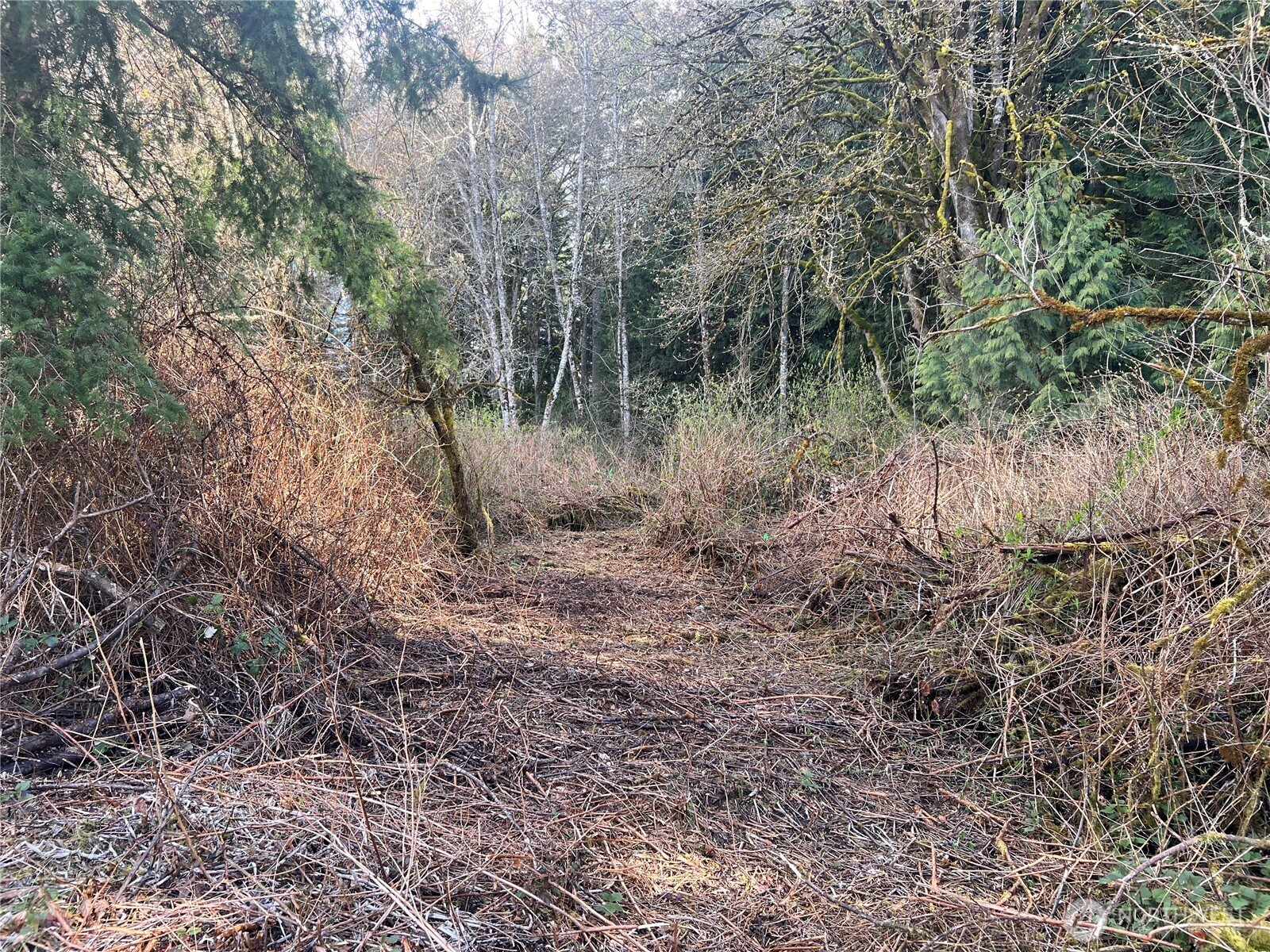 5662 Center Road Property Photo 26