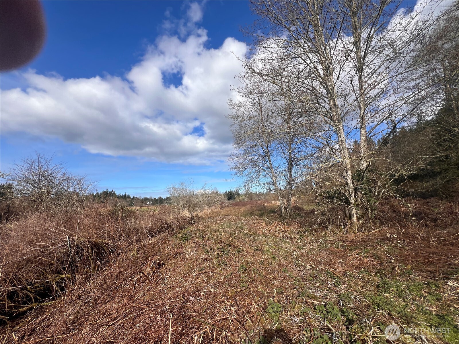 5662 Center Road Property Photo 27