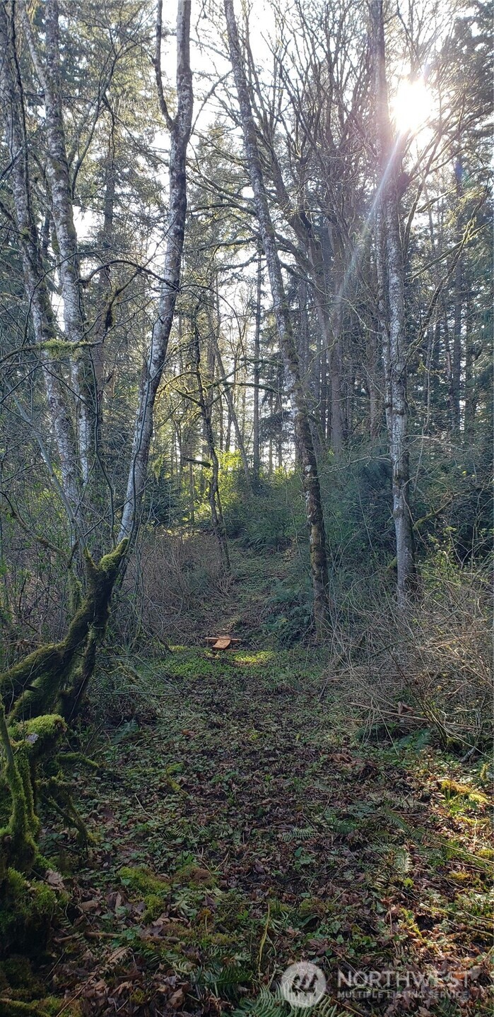 5662 Center Road Property Photo 30