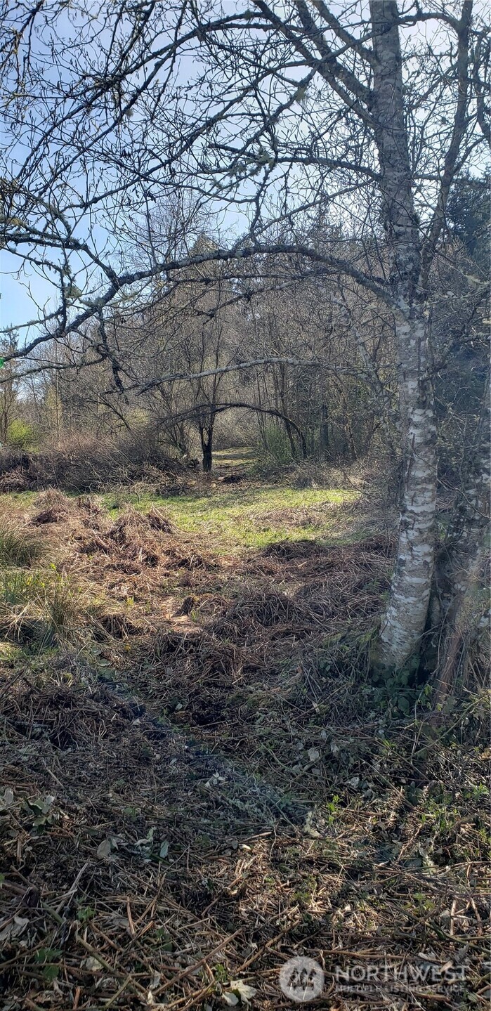 5662 Center Road Property Photo 31