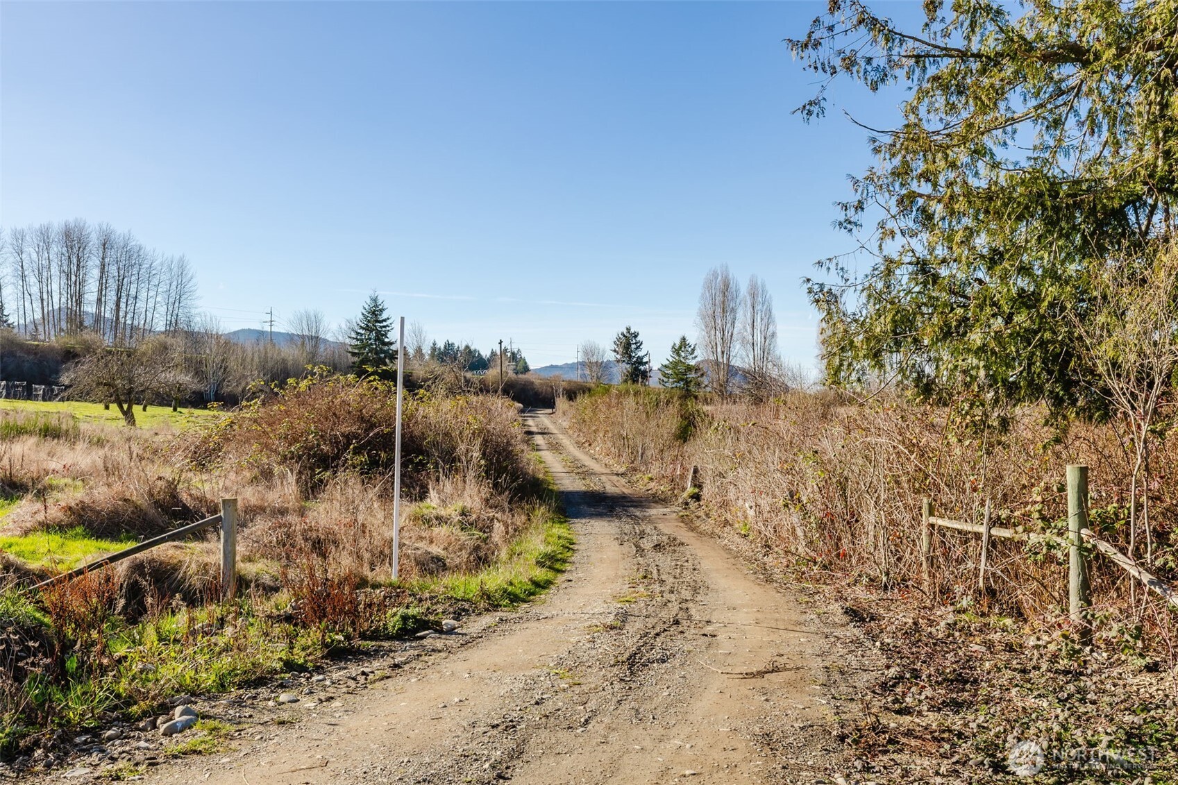 208 Laird Road Property Photo 6