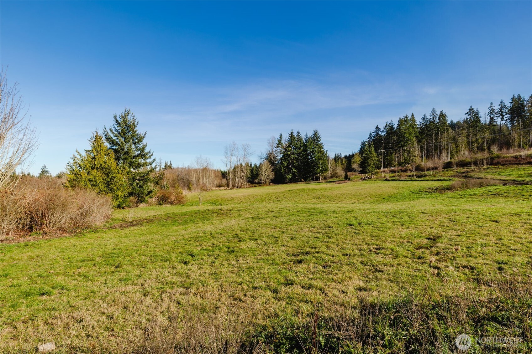 208 Laird Road Property Photo 12
