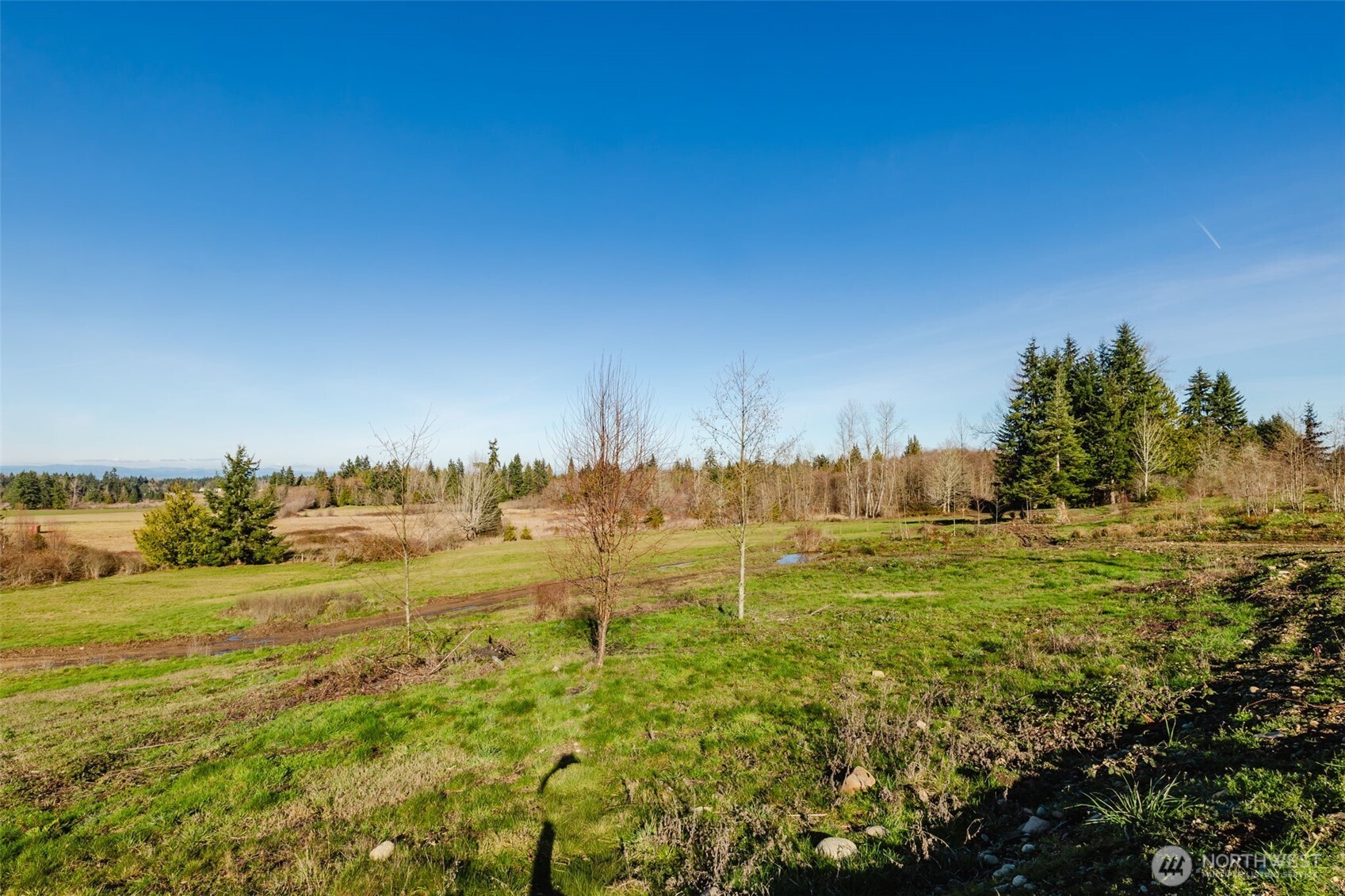 208 Laird Road Property Photo 14