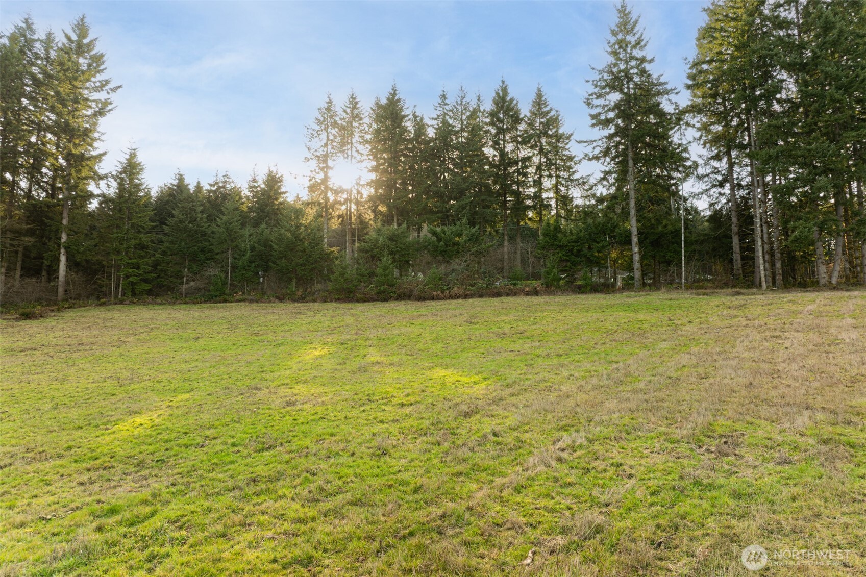 116 Silverwood Drive B2 Property Photo 8