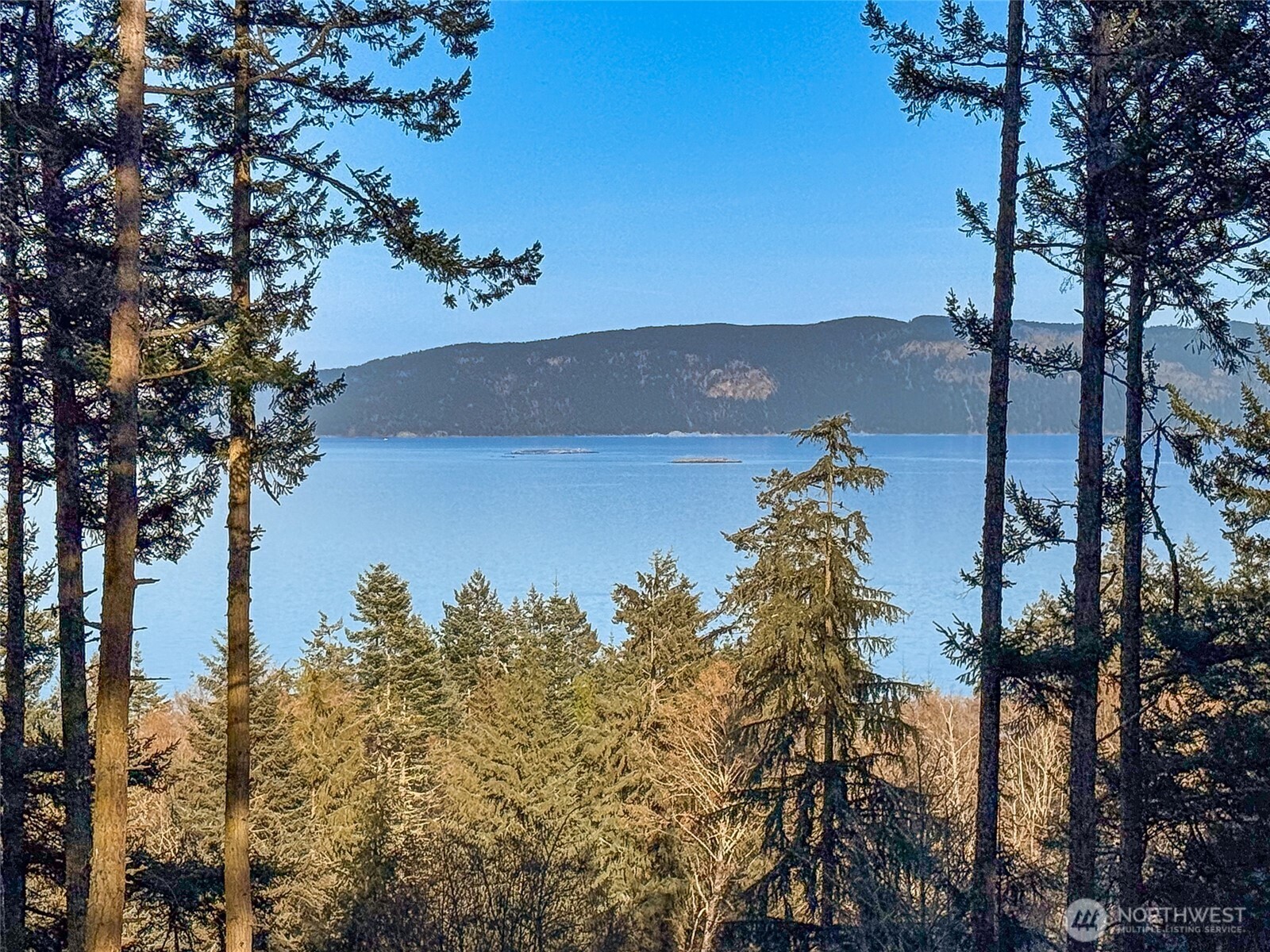 1407 Obstruction Pass Road Property Photo 2