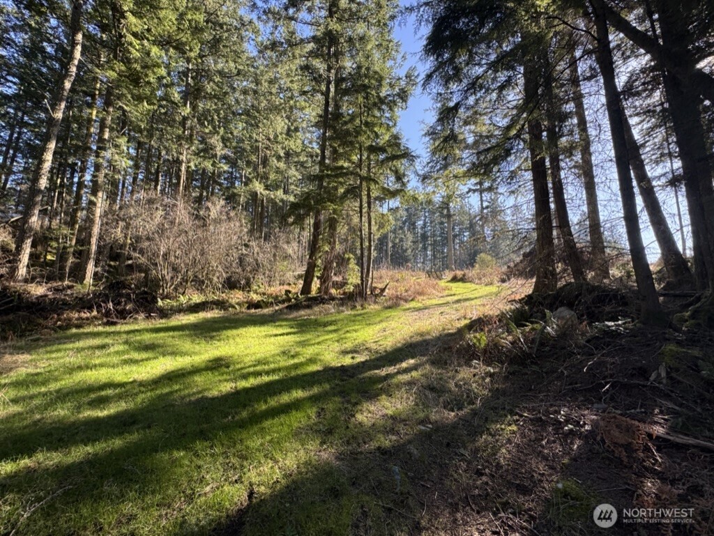 1407 Obstruction Pass Road Property Photo 14