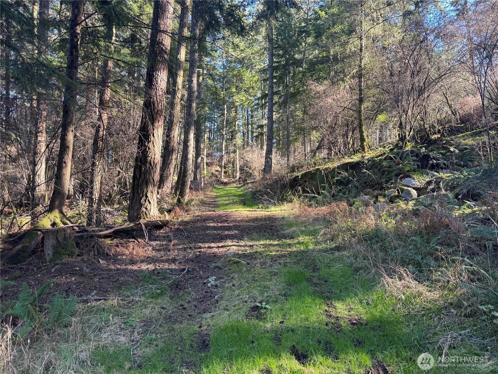 1407 Obstruction Pass Road Property Photo 15