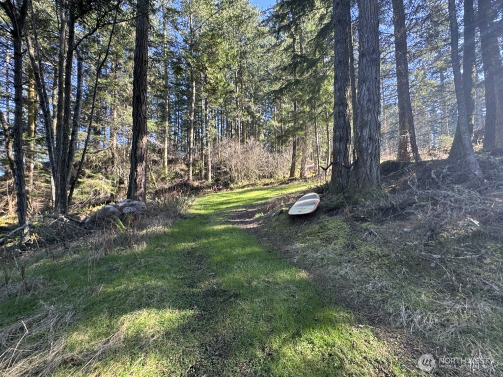 1407 Obstruction Pass Road Property Photo 17