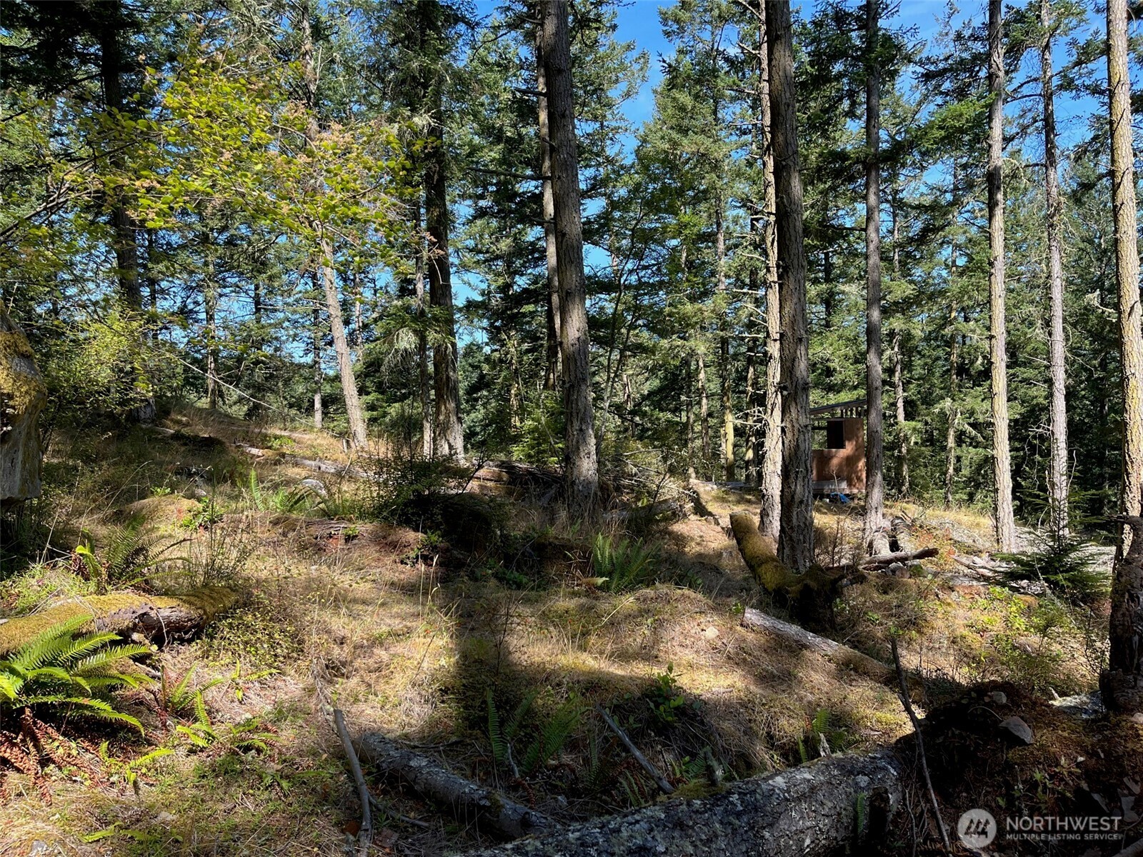 1407 Obstruction Pass Road Property Photo 20