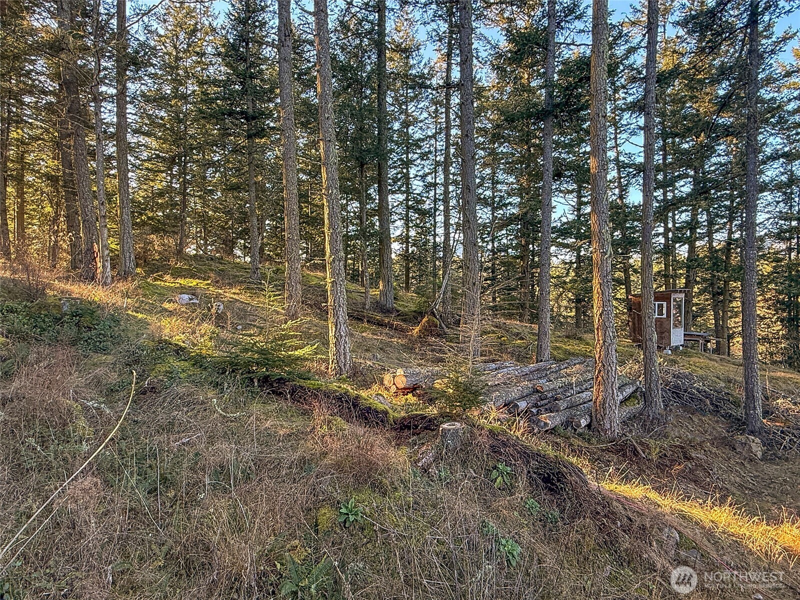 1407 Obstruction Pass Road Property Photo 25