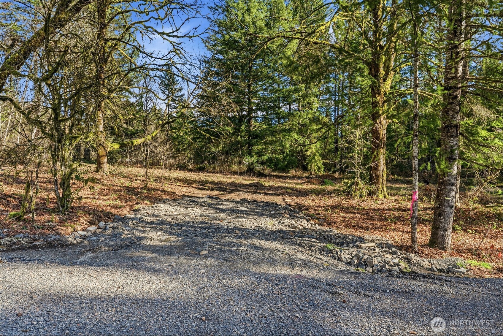 158 Windsock Road Property Photo 4