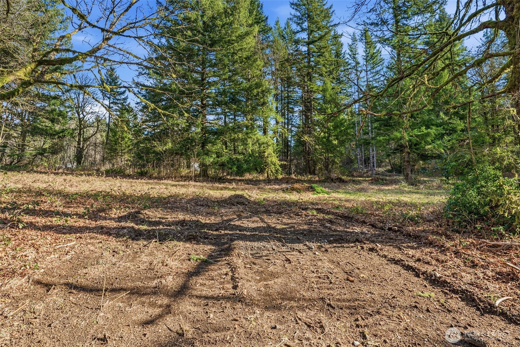 158 Windsock Road Property Photo 5