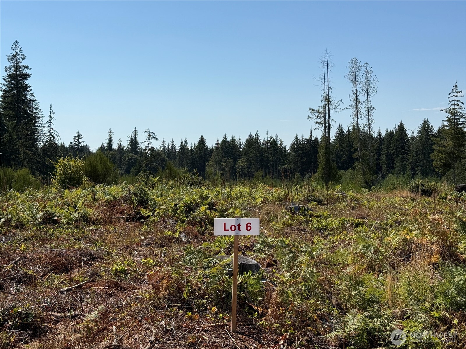 6 Track RimStone Loop Property Photo 1