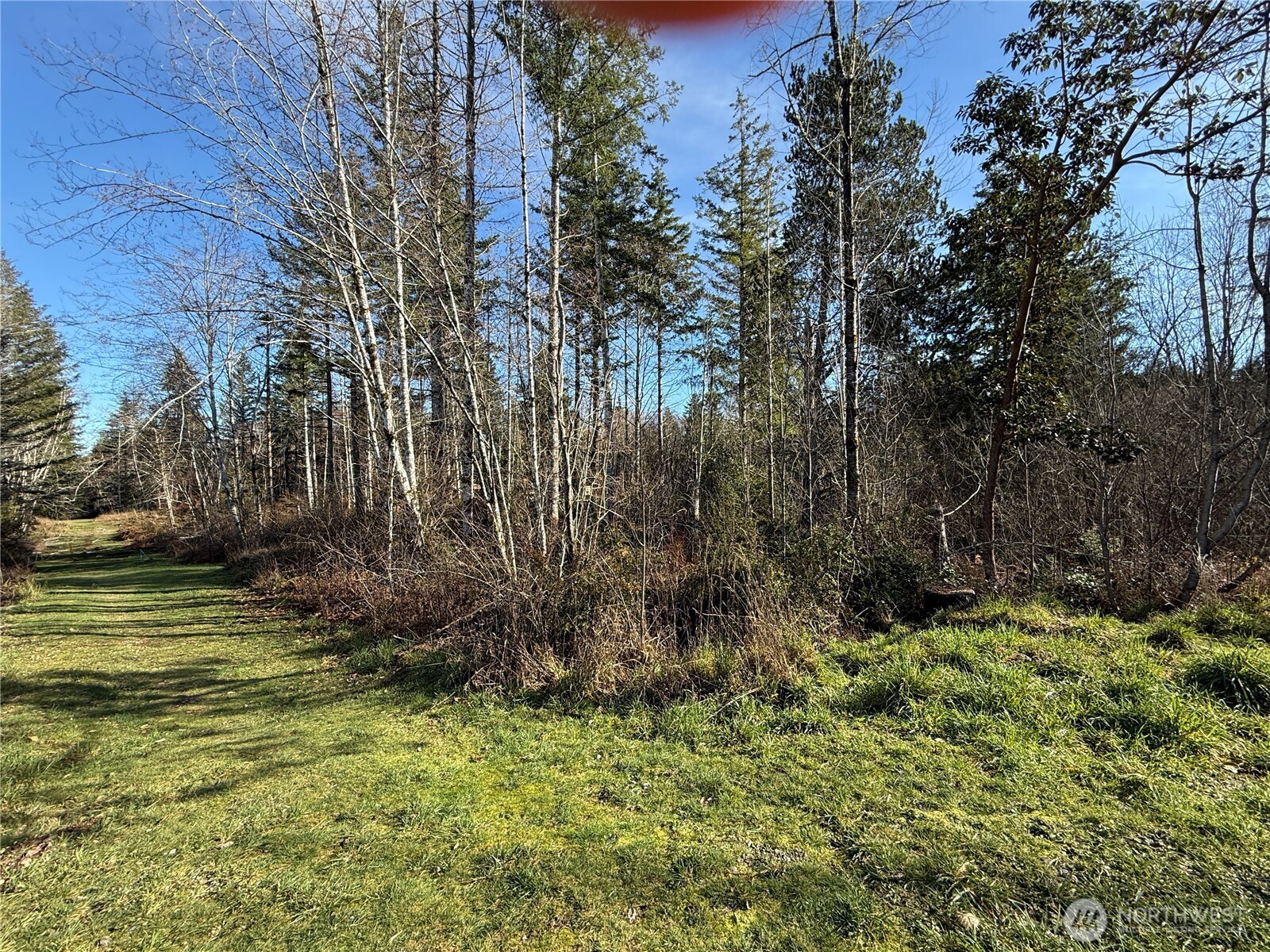 7 Parcel E Johnson Ridge Road Property Photo 3