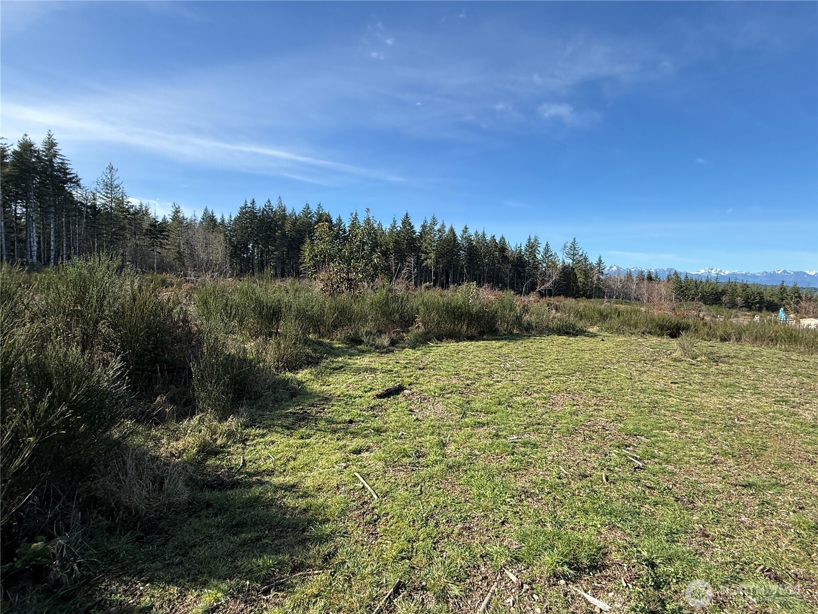 1 Parcel E Johnson Ridge Road Property Photo 5