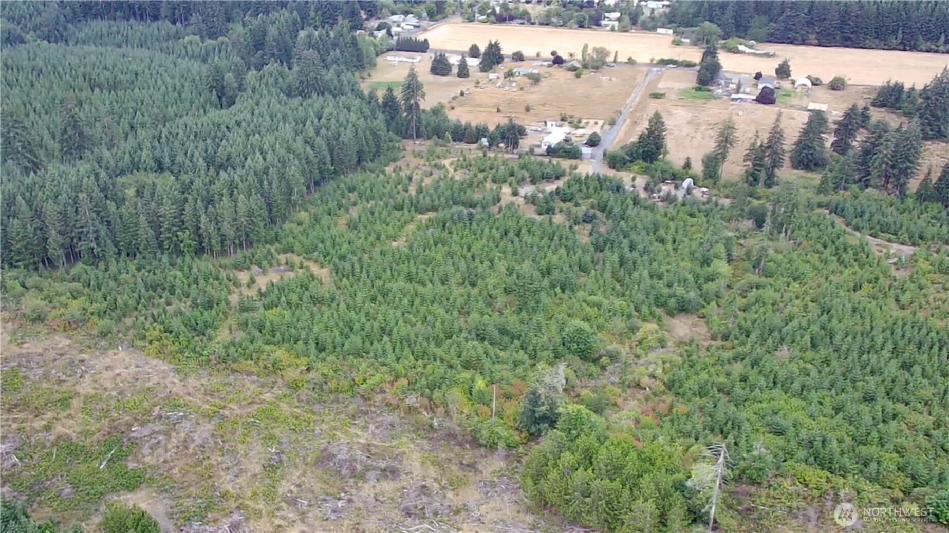 196 Allman Road Property Photo 3