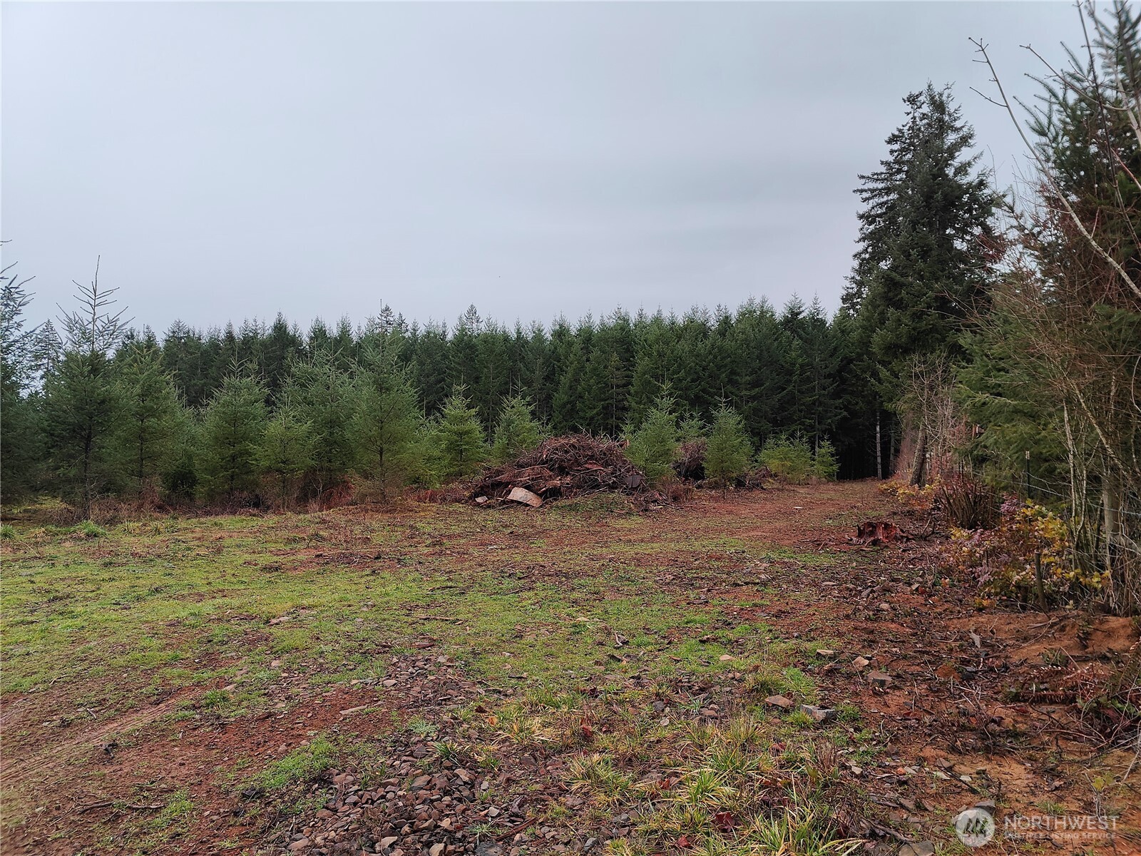 196 Allman Road Property Photo 9