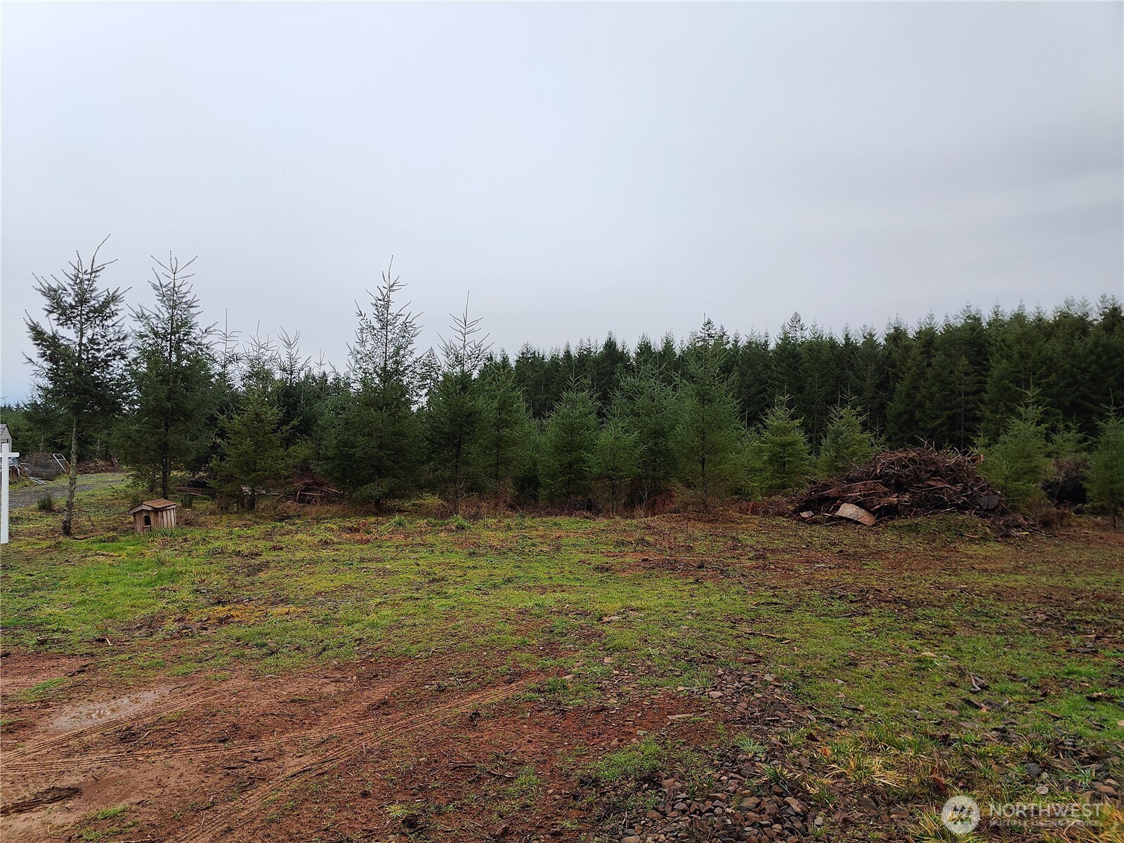 196 Allman Road Property Photo 11