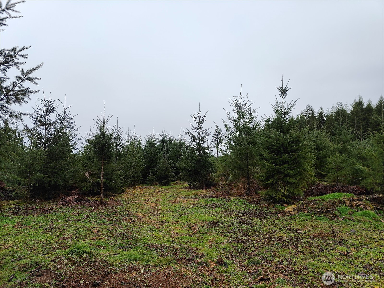 196 Allman Road Property Photo 12