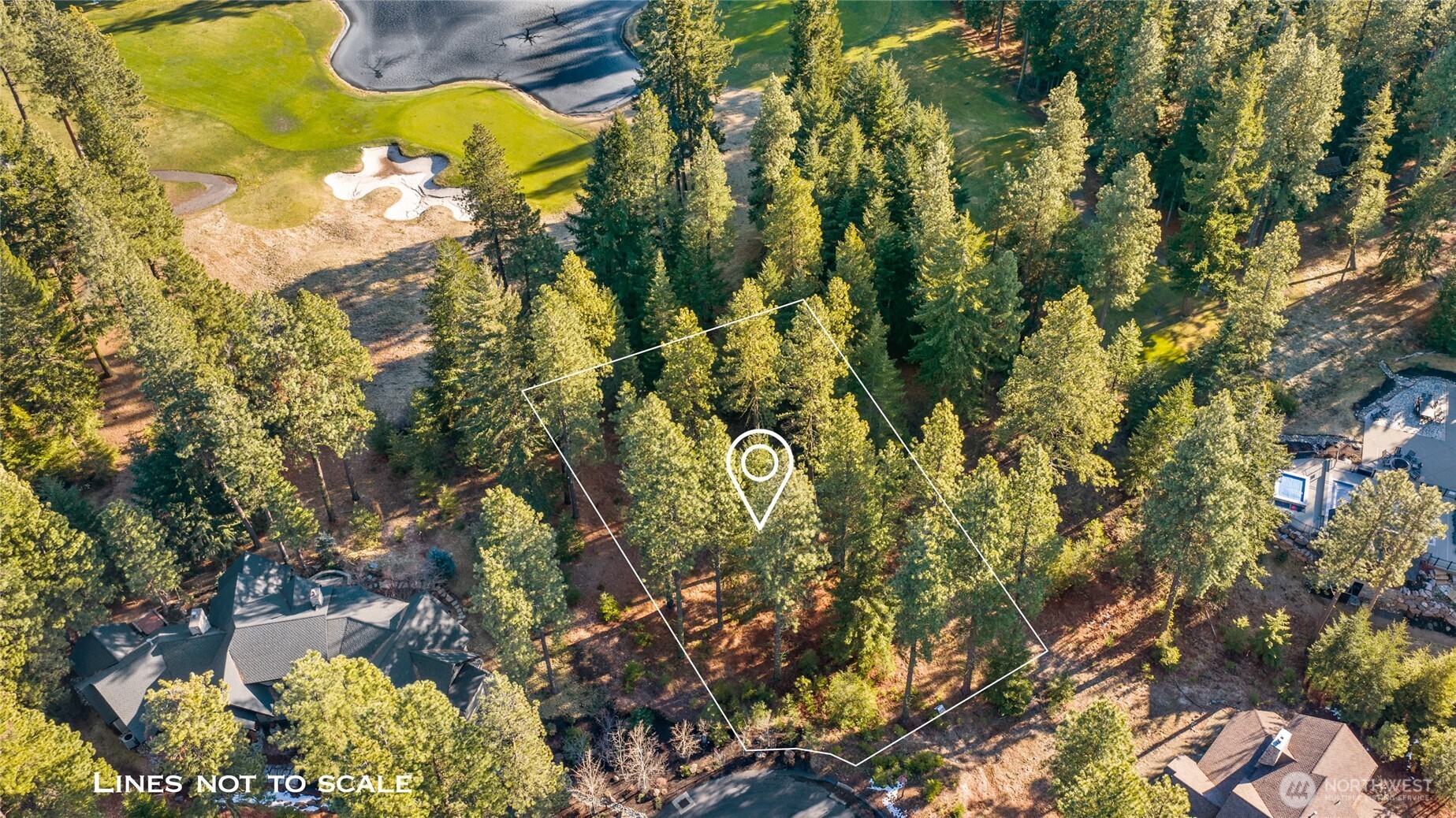 150 Bunchberry Court Property Photo 6
