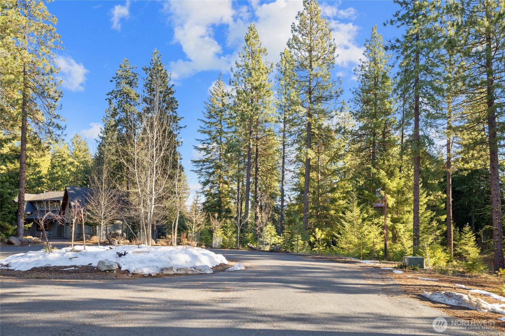 150 Bunchberry Court Property Photo 7