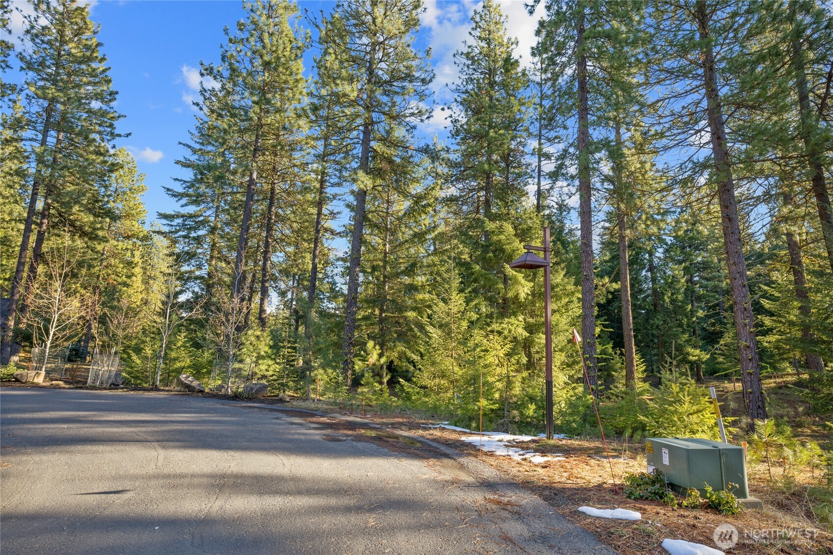 150 Bunchberry Court Property Photo 8