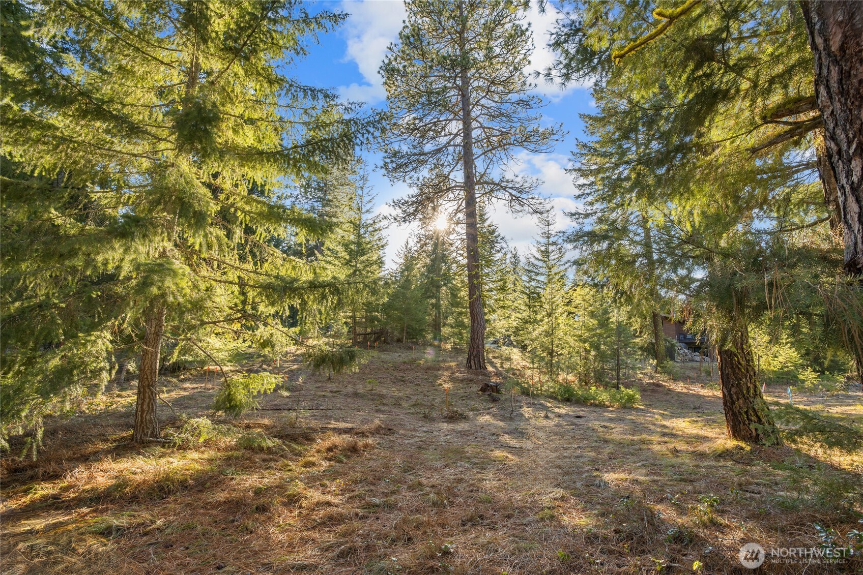 150 Bunchberry Court Property Photo 10