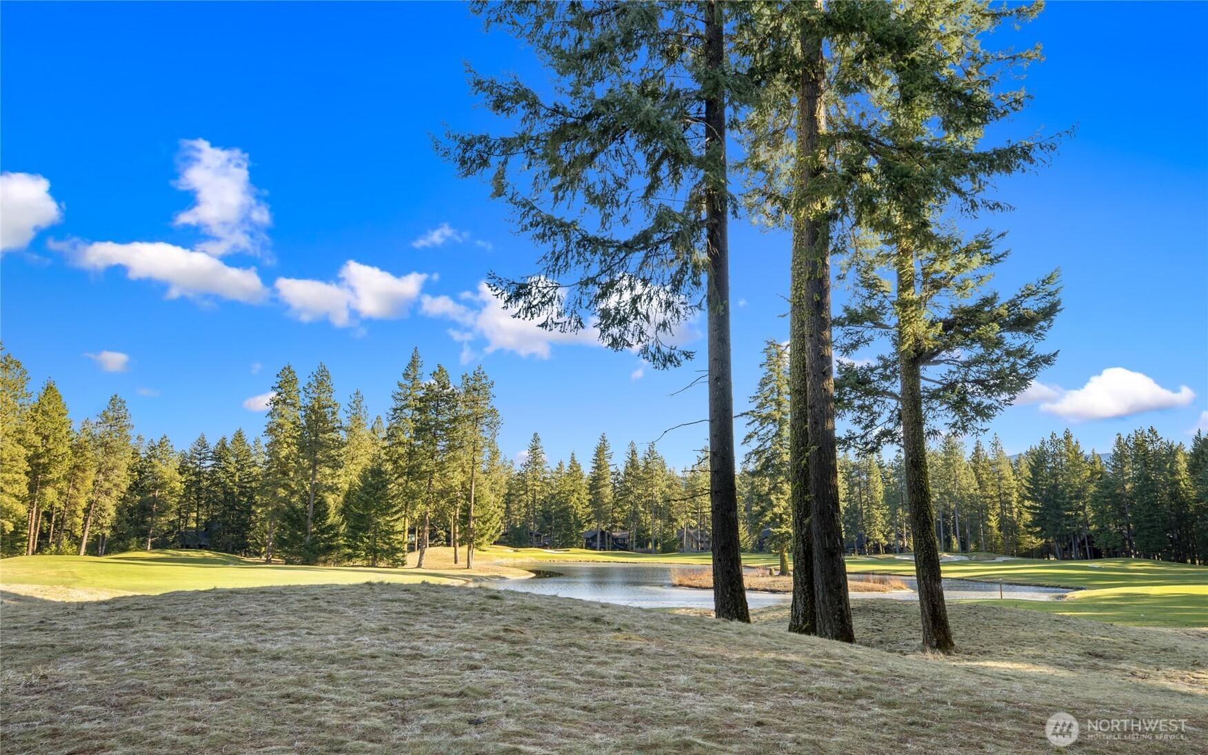 150 Bunchberry Court Property Photo 12