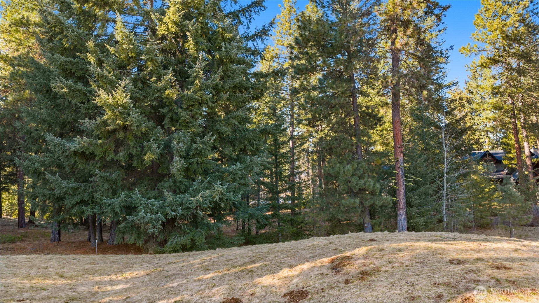 150 Bunchberry Court Property Photo 19