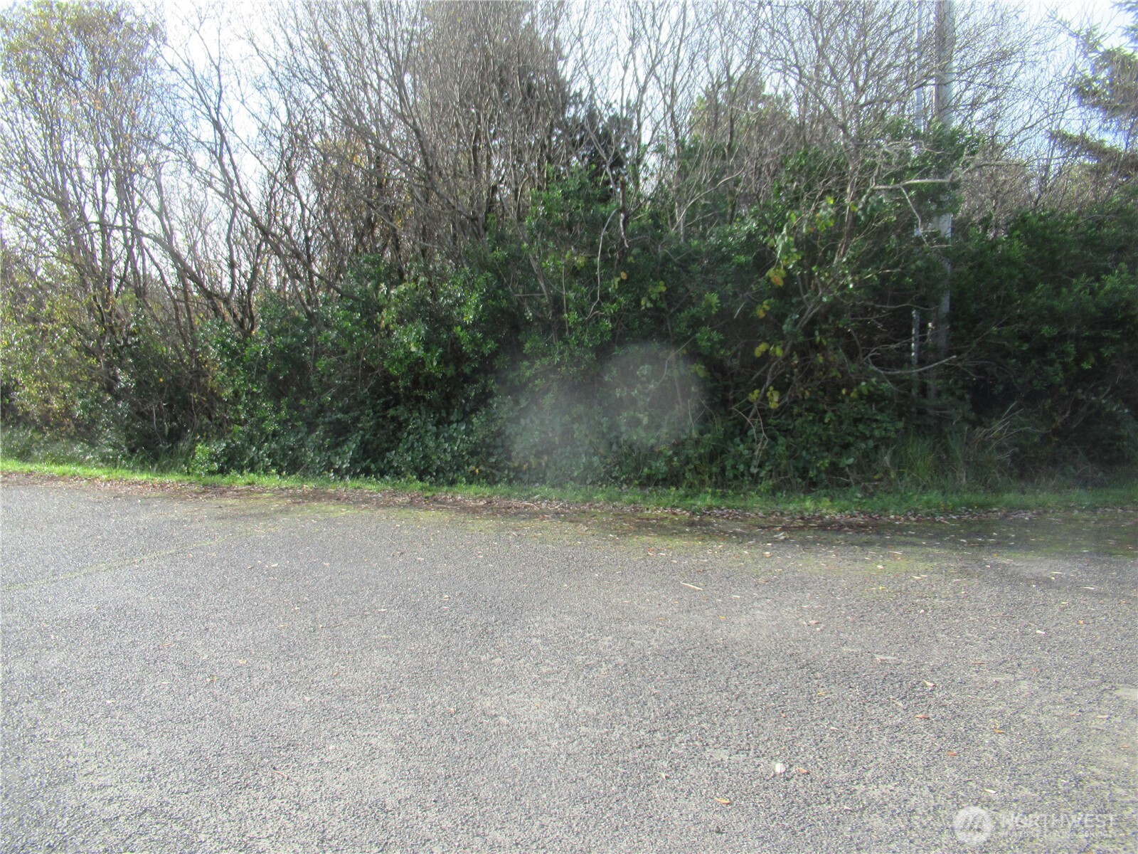 0 Driftwood Dr Drive Property Photo 1