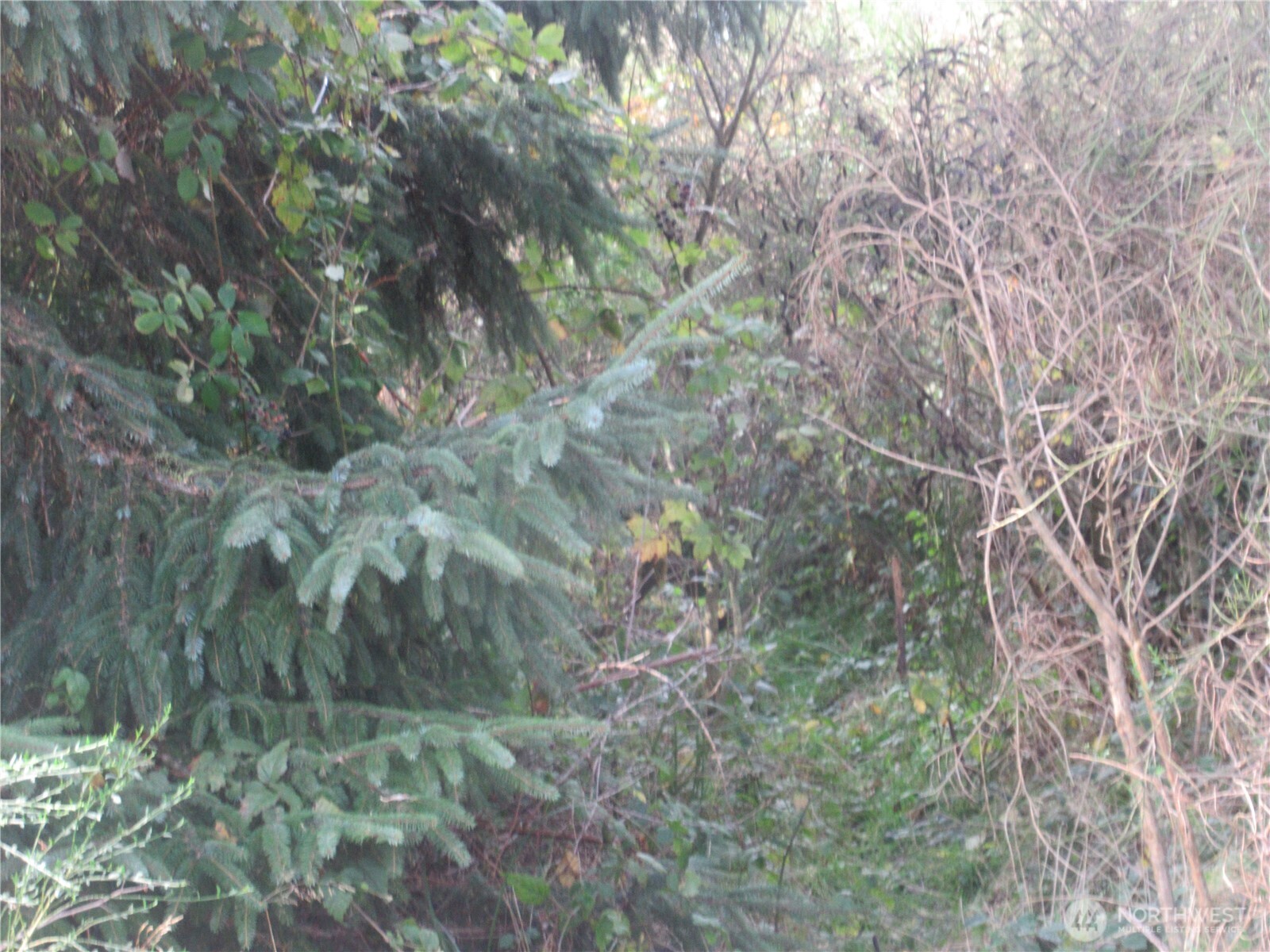 0 Driftwood Dr Drive Property Photo 3