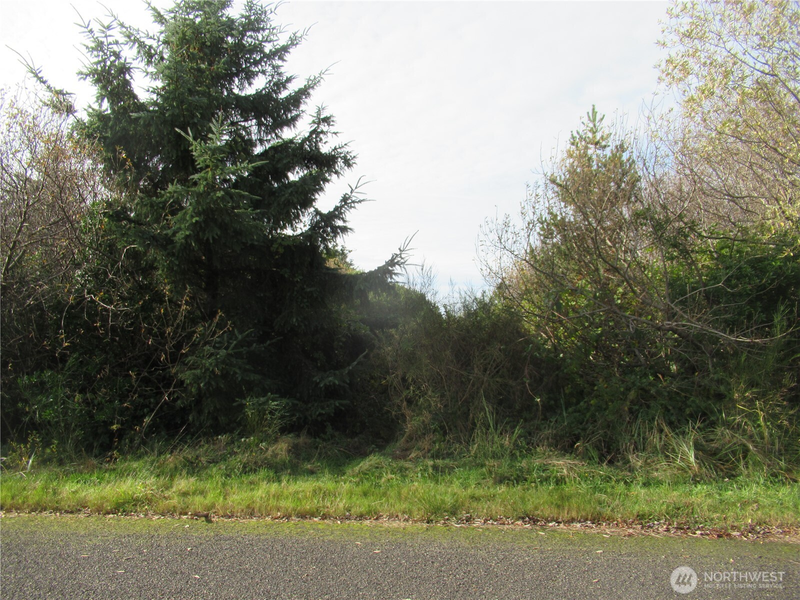 0 Driftwood Dr Drive Property Photo 4
