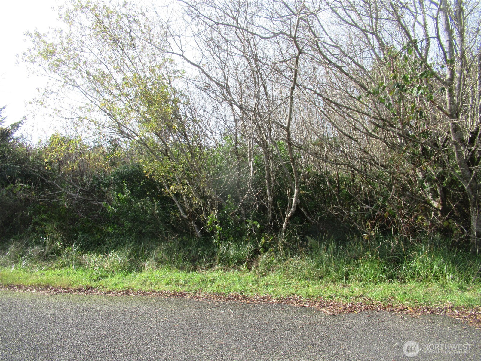 0 Driftwood Dr Drive Property Photo 8