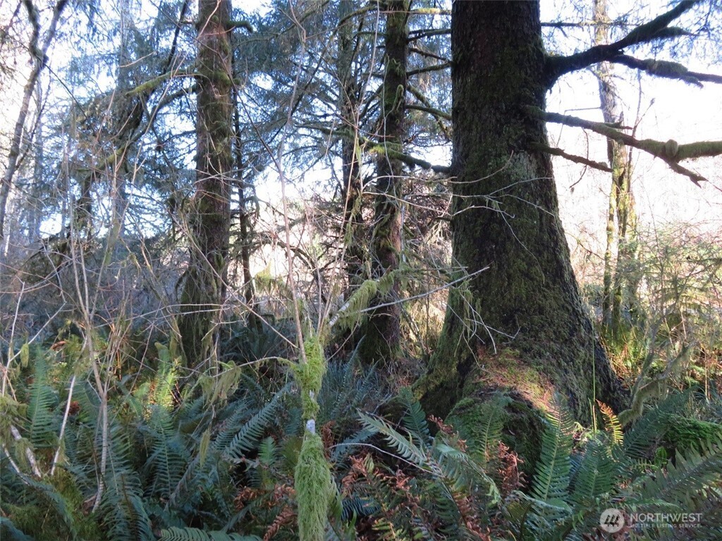 1478 Xxx E Hoquiam Road Property Photo 3