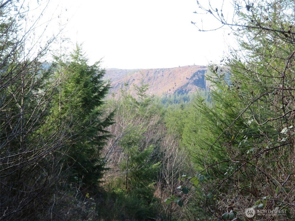 1478 Xxx E Hoquiam Road Property Photo 6