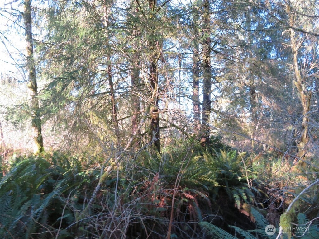 1478 Xxx E Hoquiam Road Property Photo 11